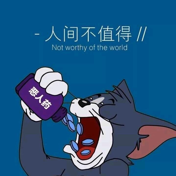 糖糖的大猫