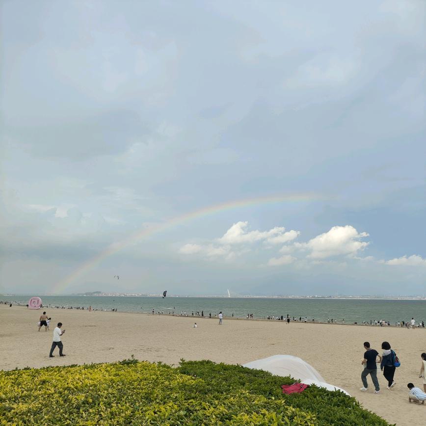 是陈陈呀