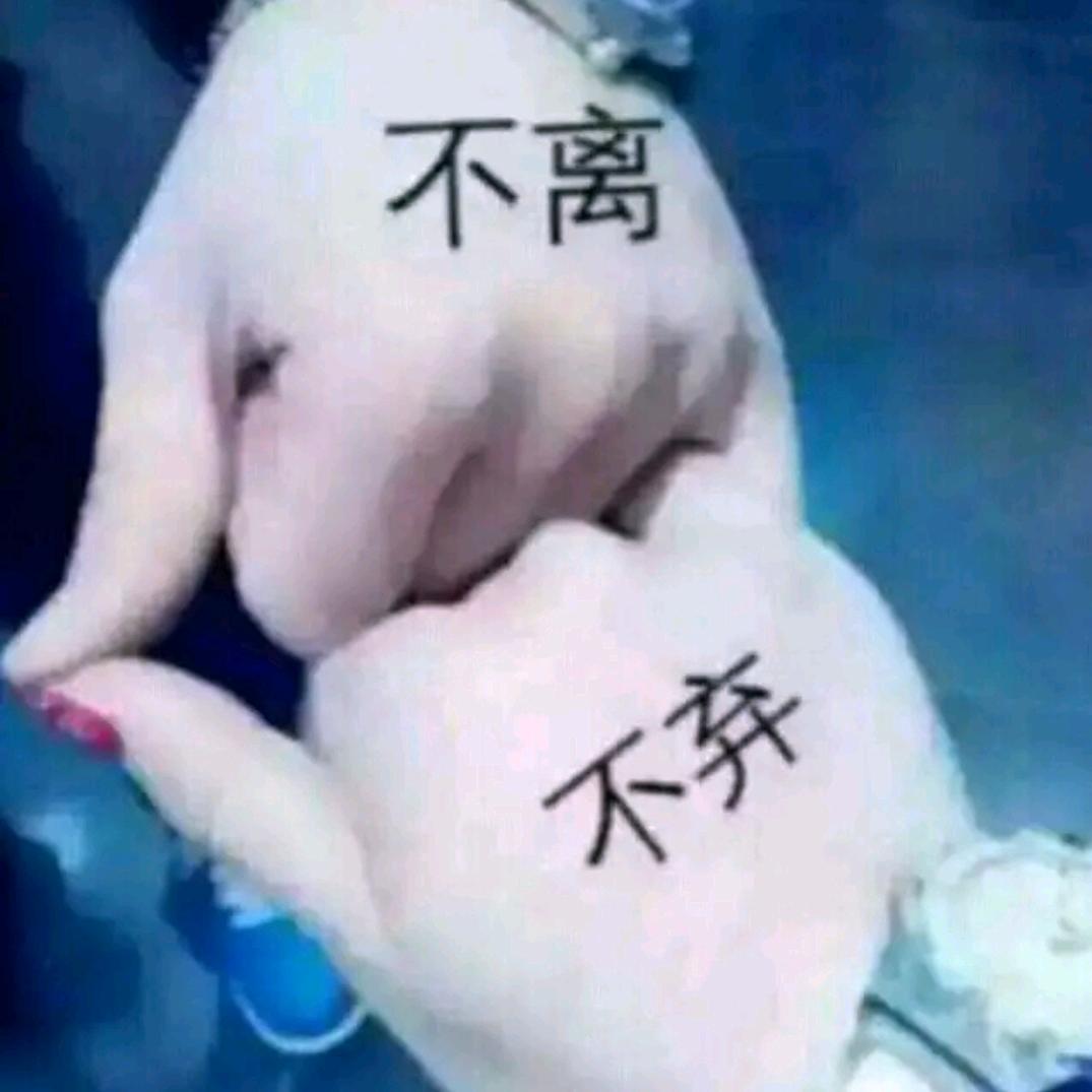 秋枫落叶 一片红🍁 🍁