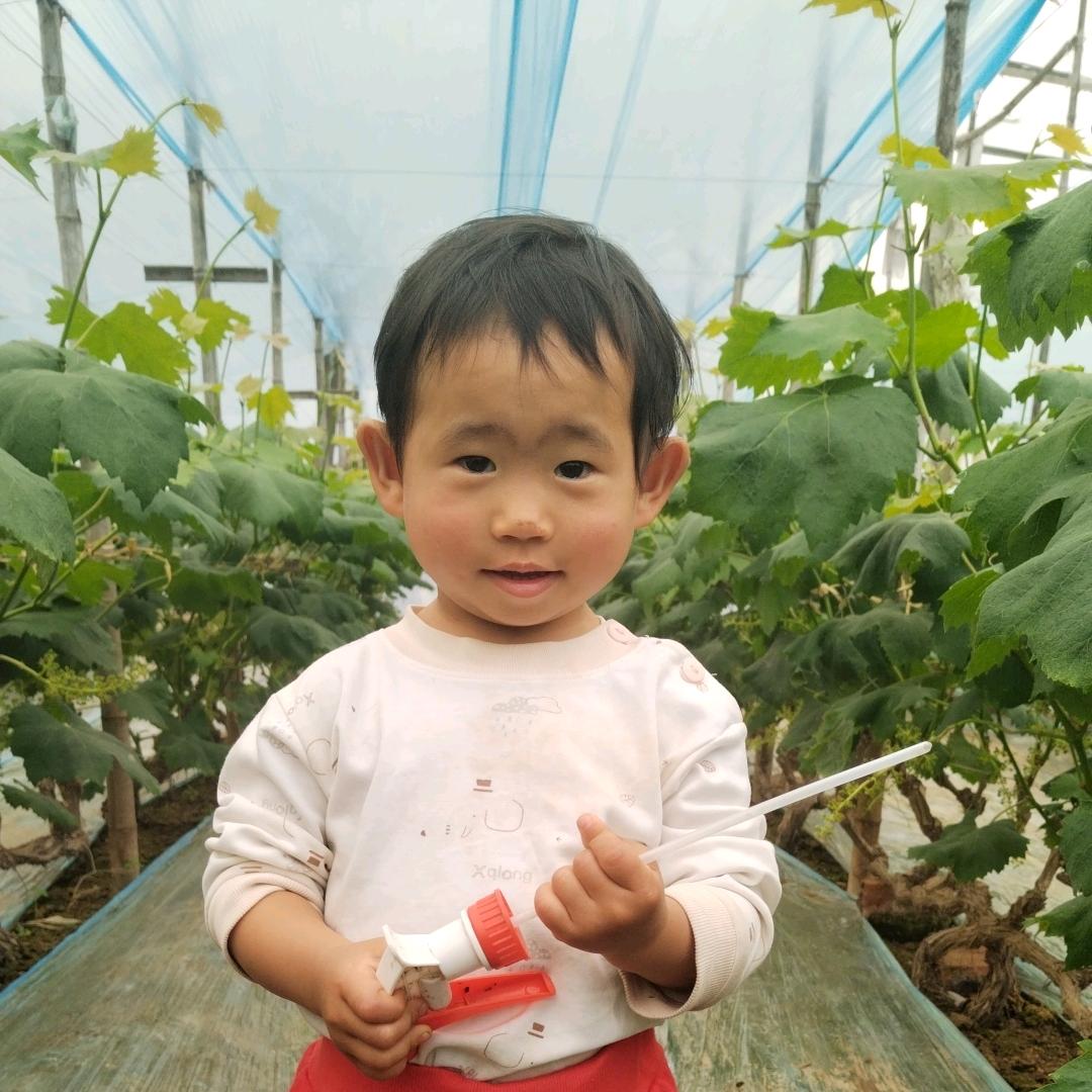 瘸子说我想做轮椅