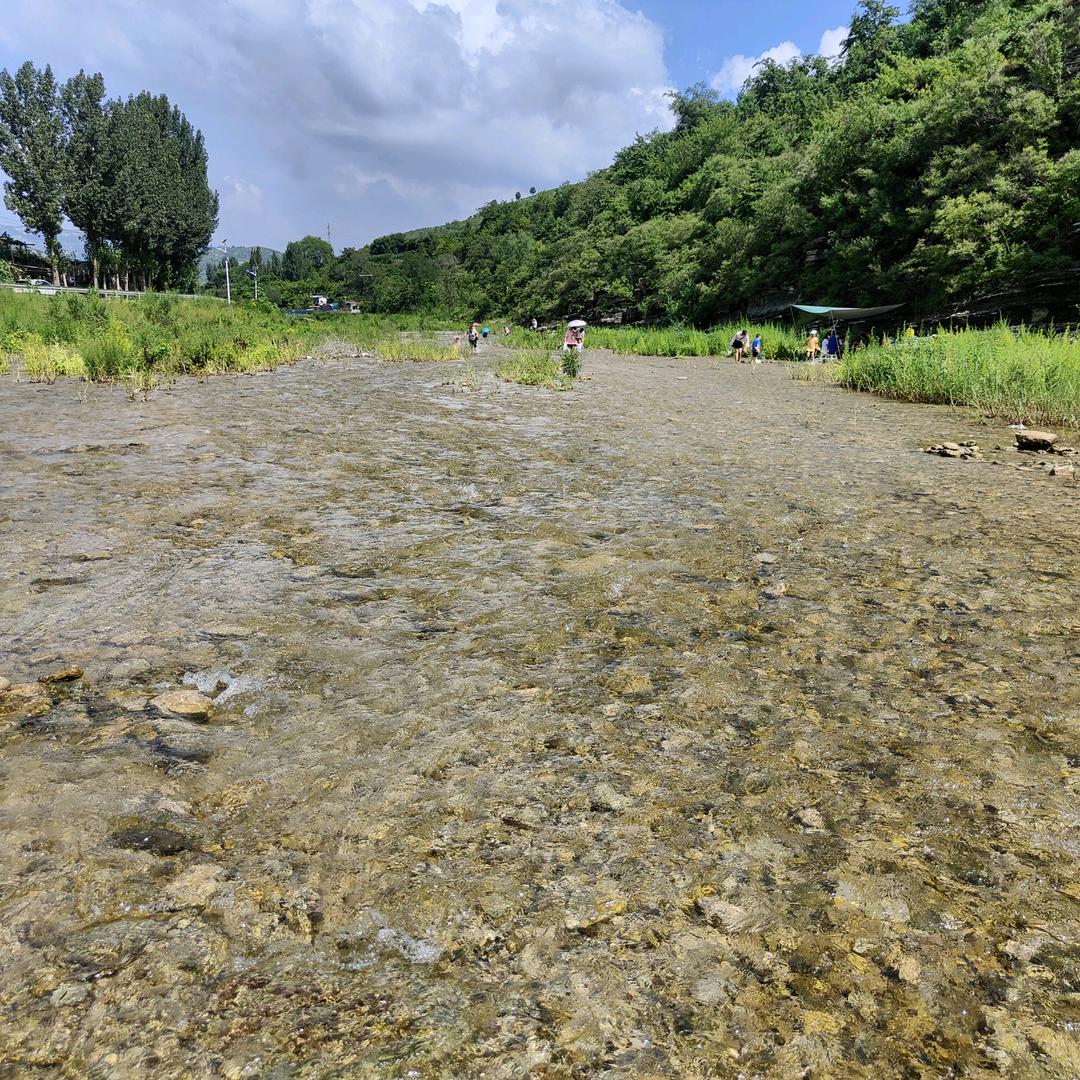 一路忠橙