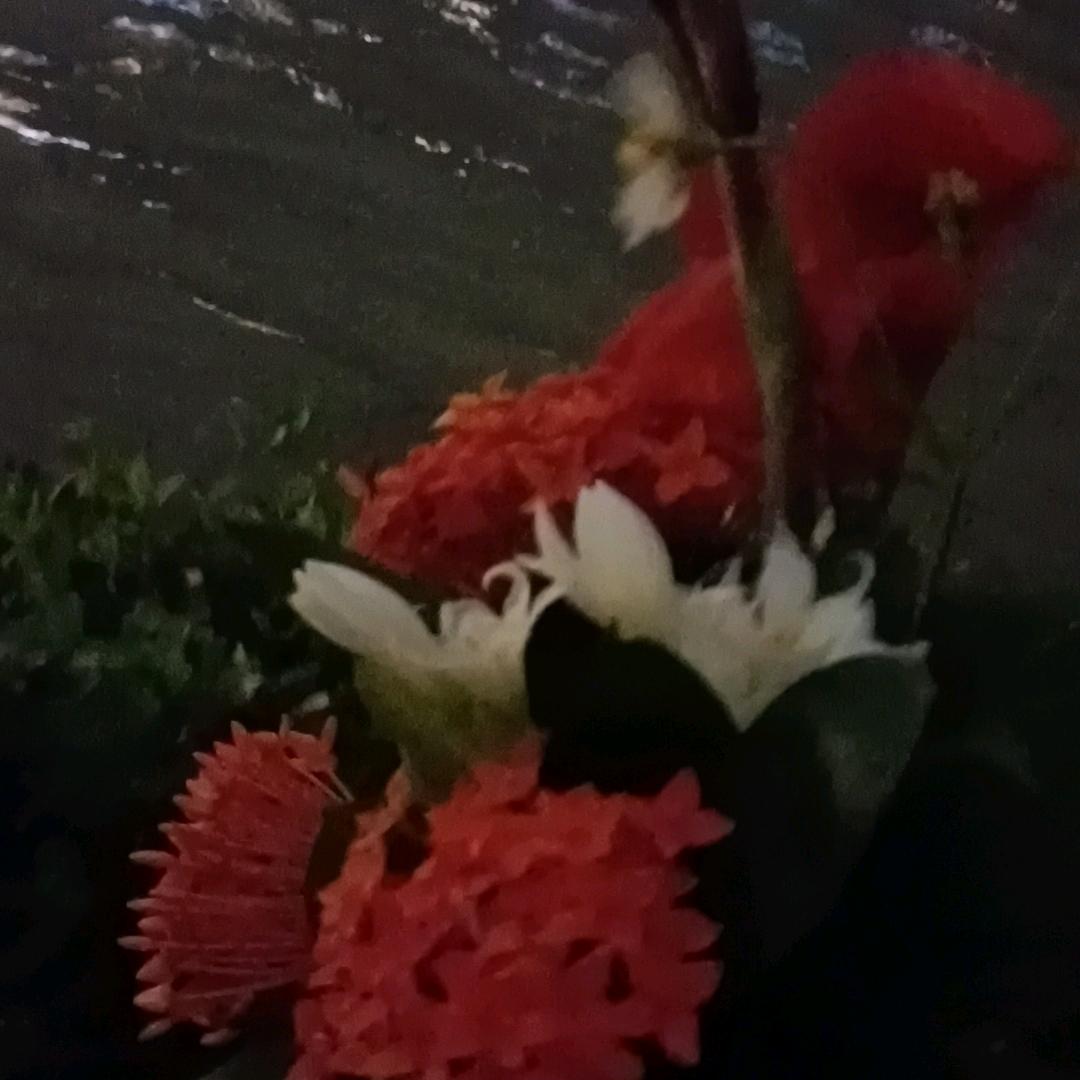 我累了我对你的爱也疲惫了