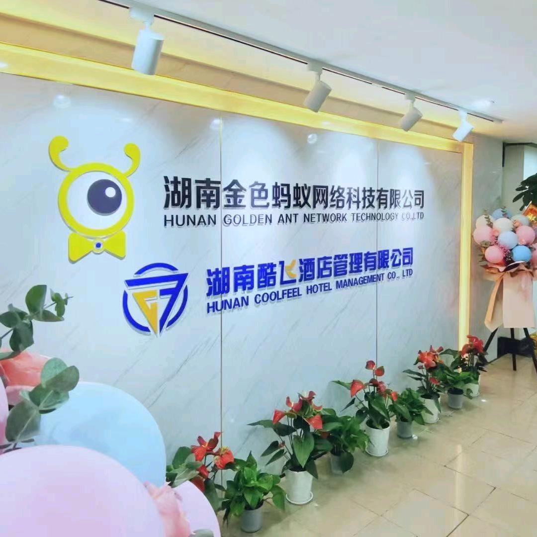 酷飞玩的傲