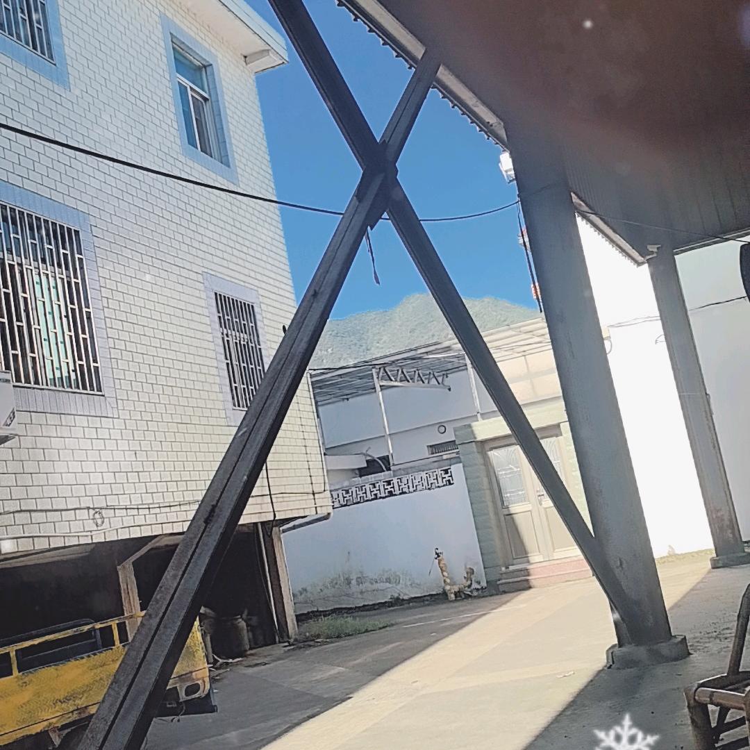 心想事成