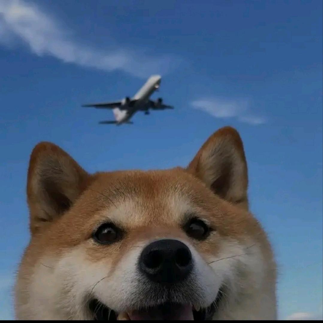 重庆空瓶子live show