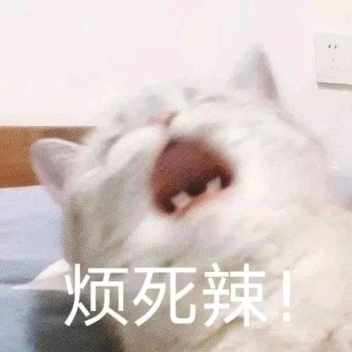 问就是莫问