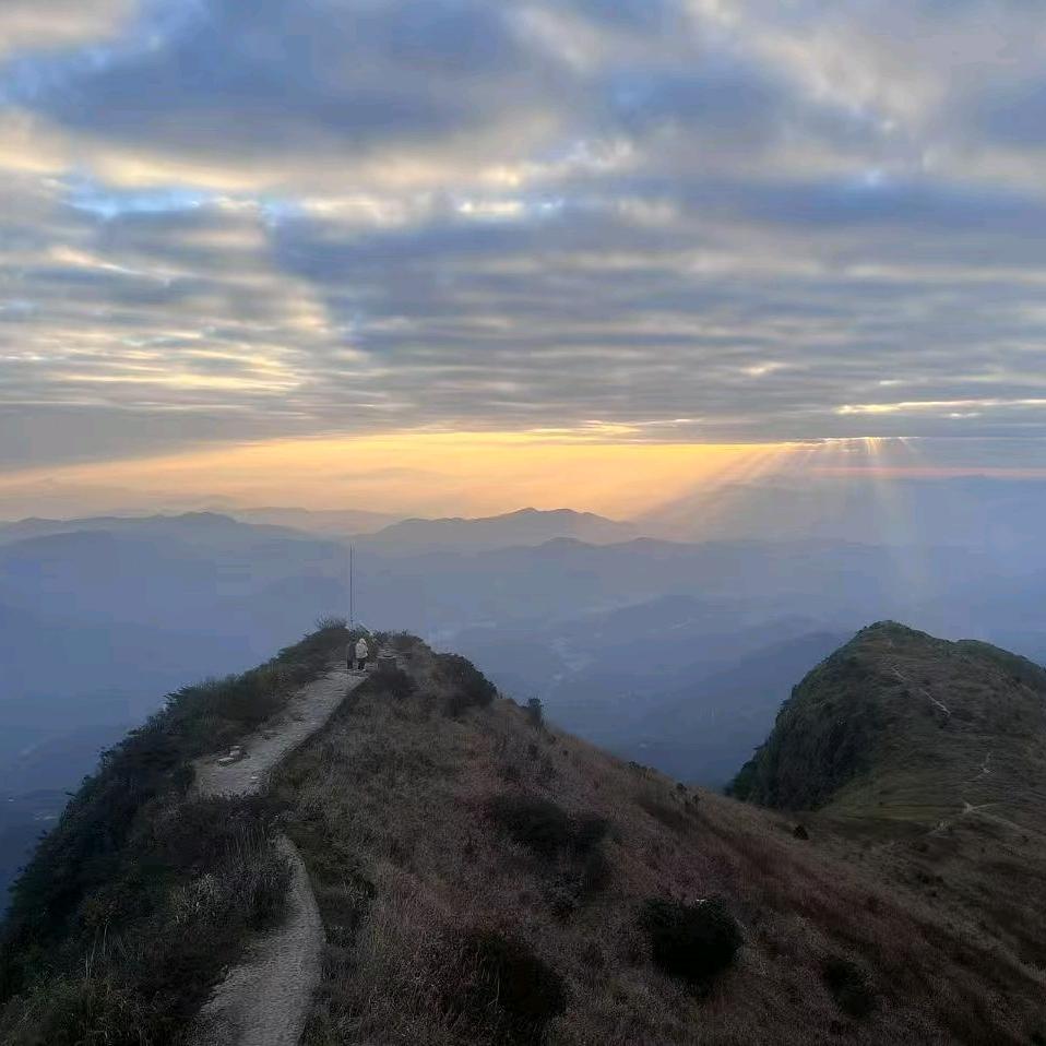 顺风车高师傅