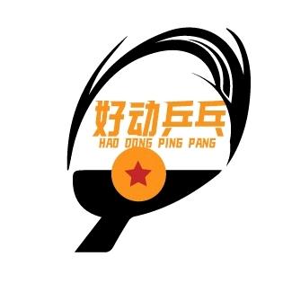 济宁高新区杨柳国际乒乓球🏓️