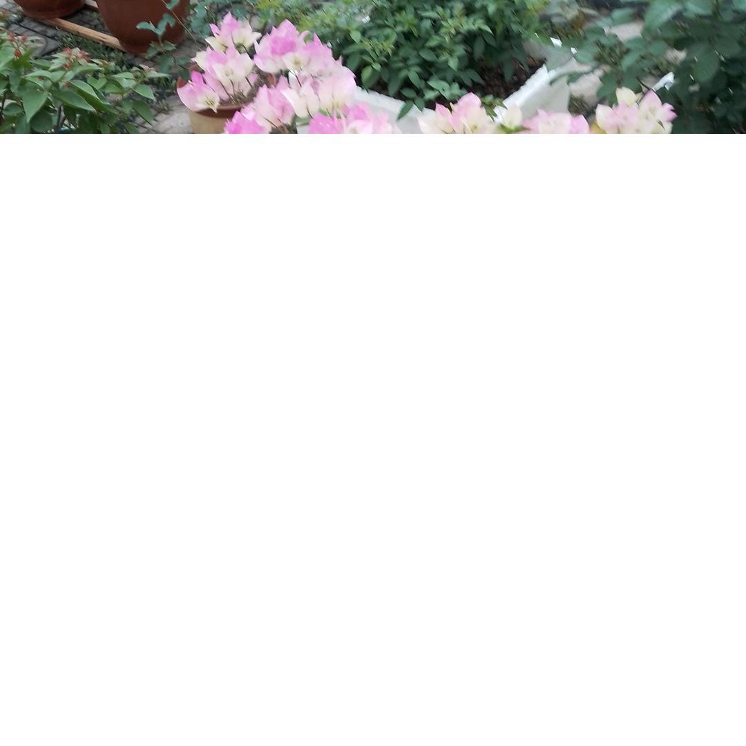 美满幸福奔小康