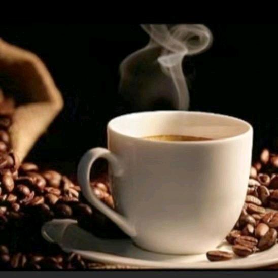 猴子骑车！玩具批发