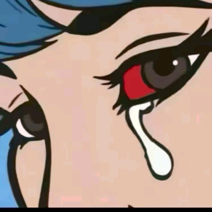 暖阳💐