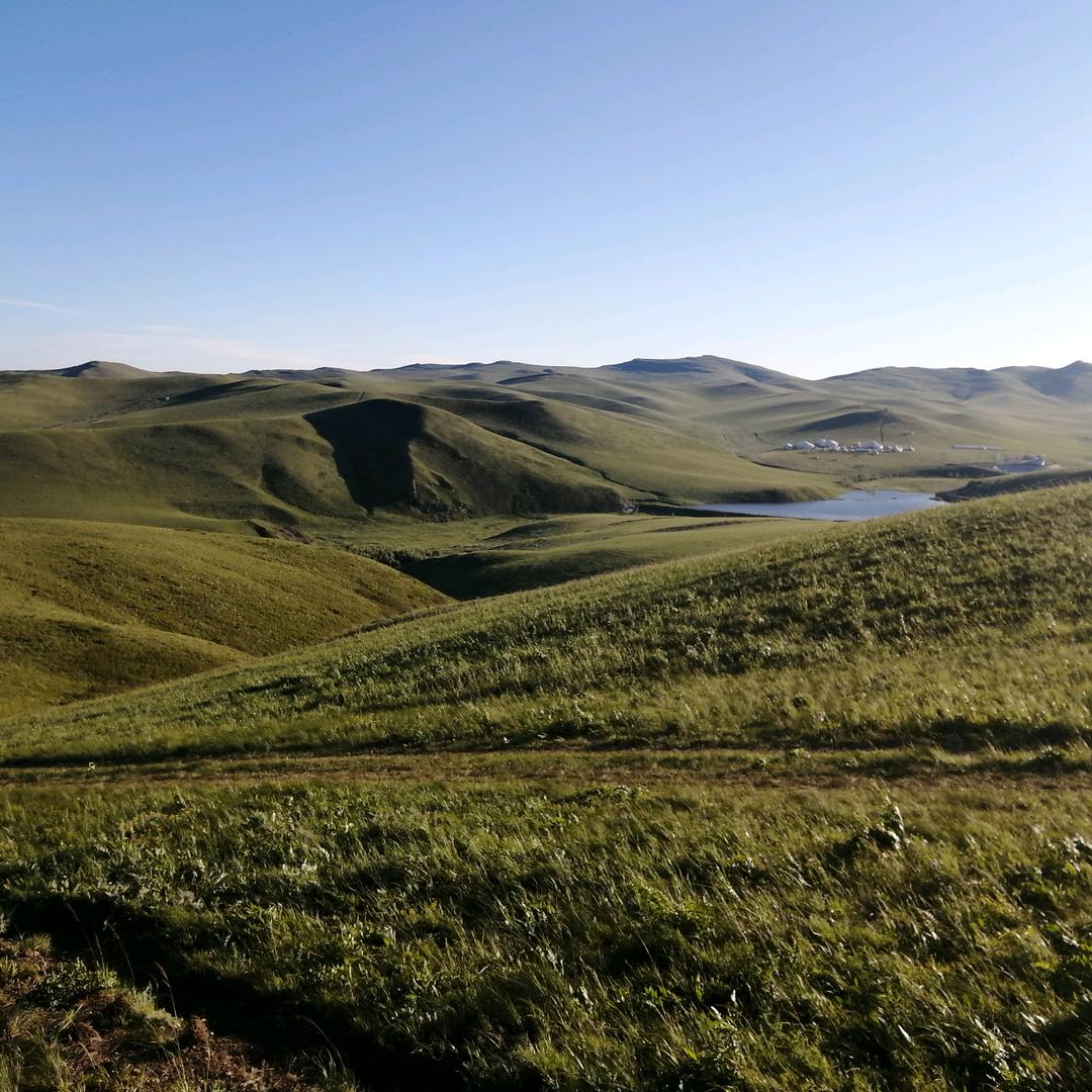 强哥8888888866666666