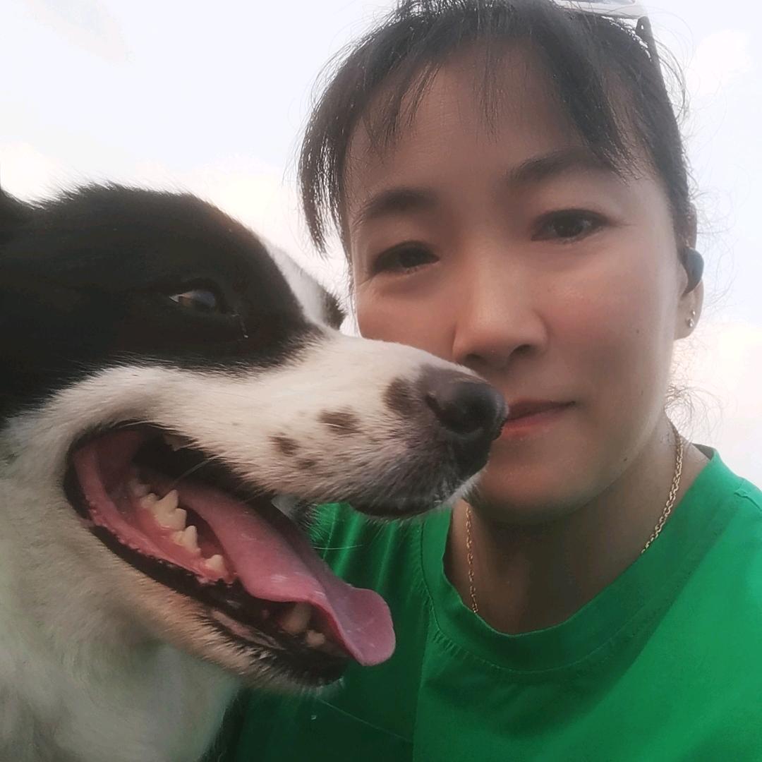 绿树