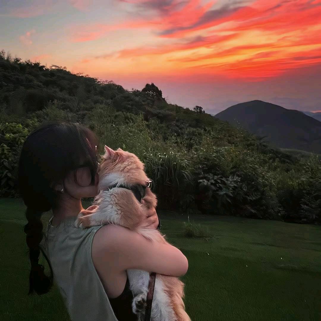 叶子的宝藏