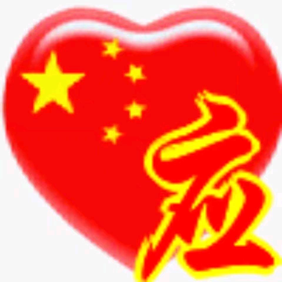 @应大锅（洋小小）