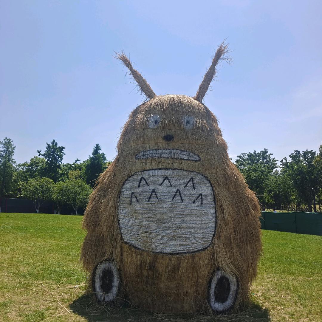 我是小杨姐姐吖