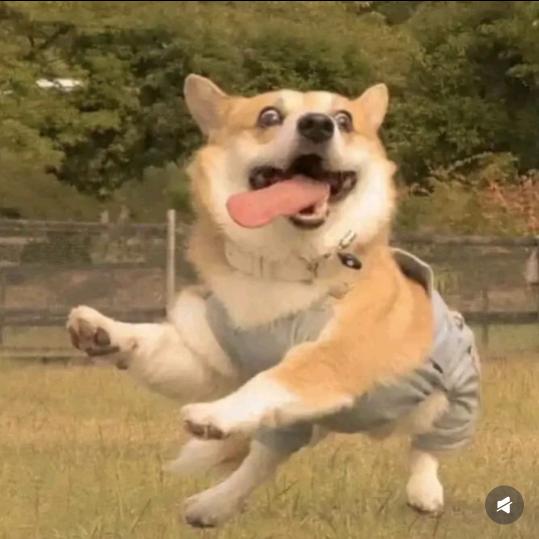 阚辛