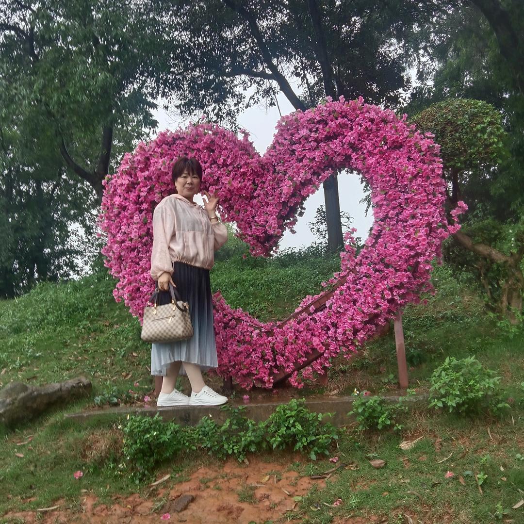 忘忧草🍀🍁🎤🎶