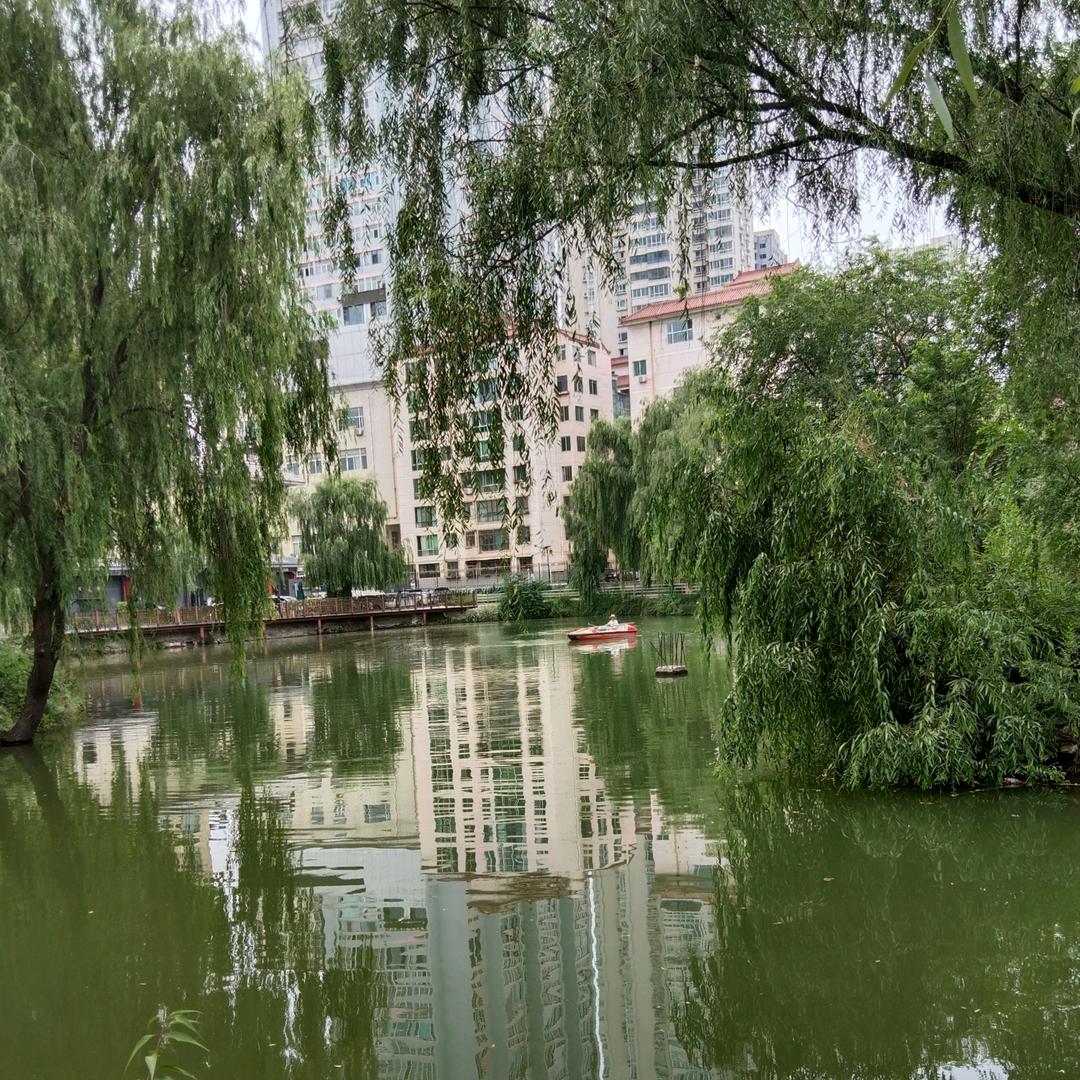 Qiangster