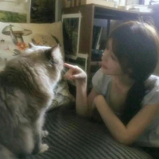 摆烂小羊