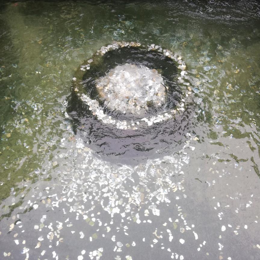 忠肝義胆