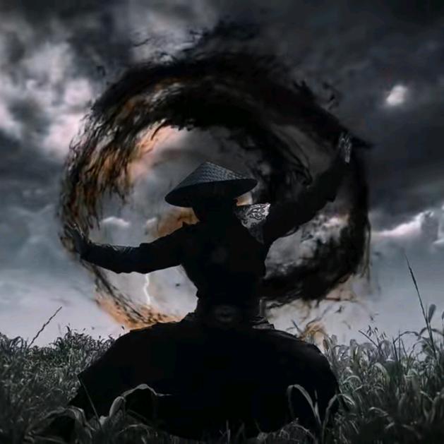 雲中飞鶴