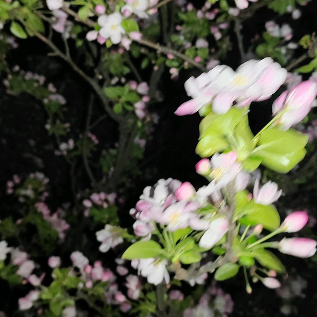 秋