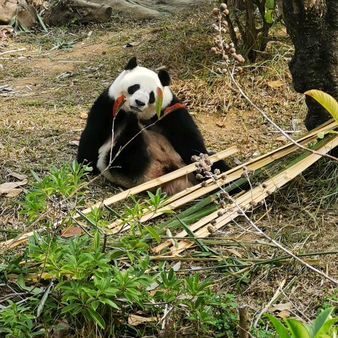 指南针