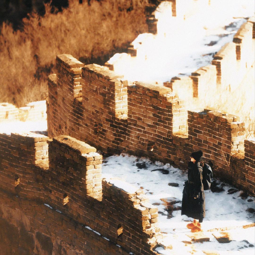 💤挚爱(^_^）🪶