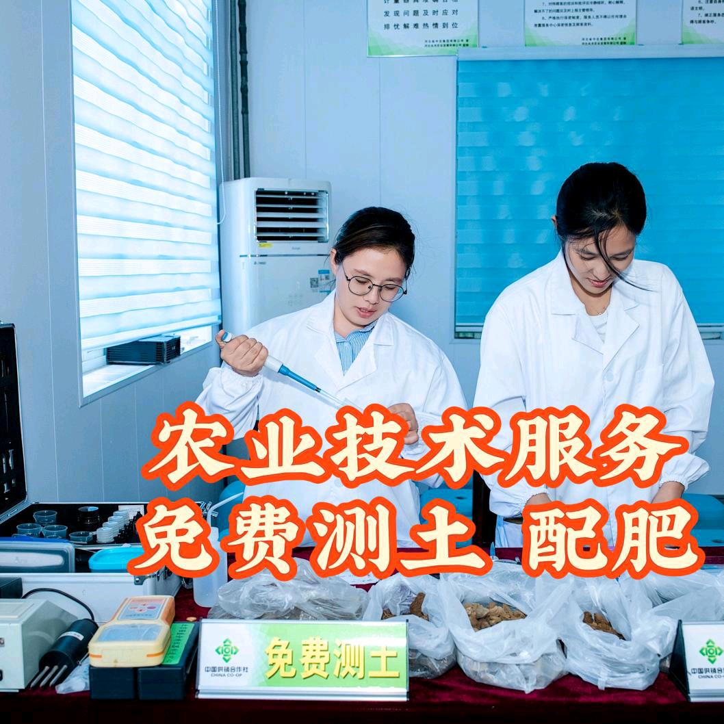 河北中农集团  霍丹