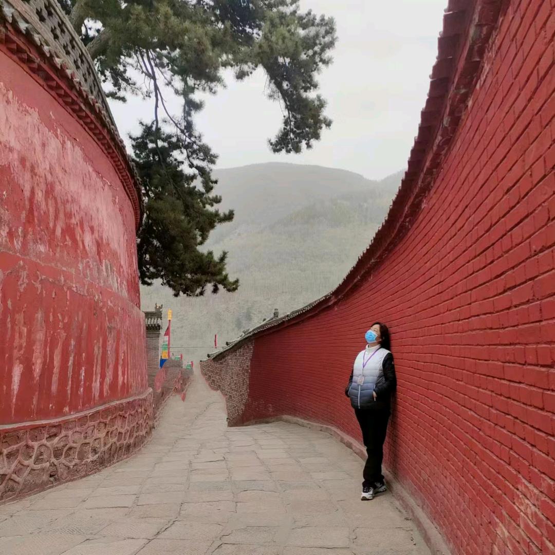 ✨英英姐✨