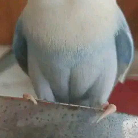 💞清晏💞亲爱的，你在哪？里🙆🏻‍