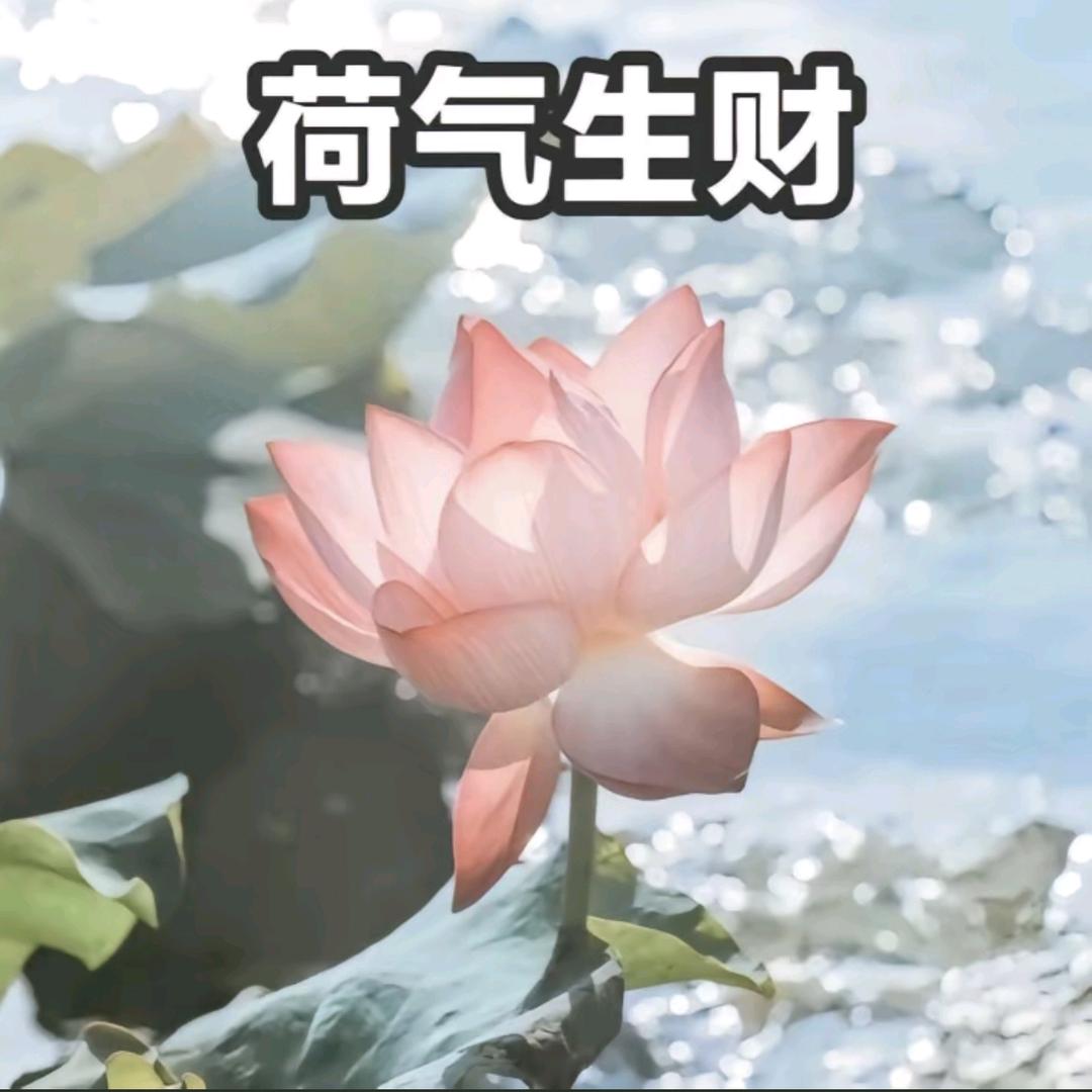 兜有米