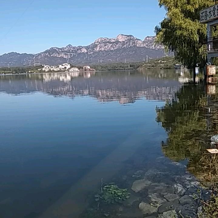 用户一棵小草5108461670595