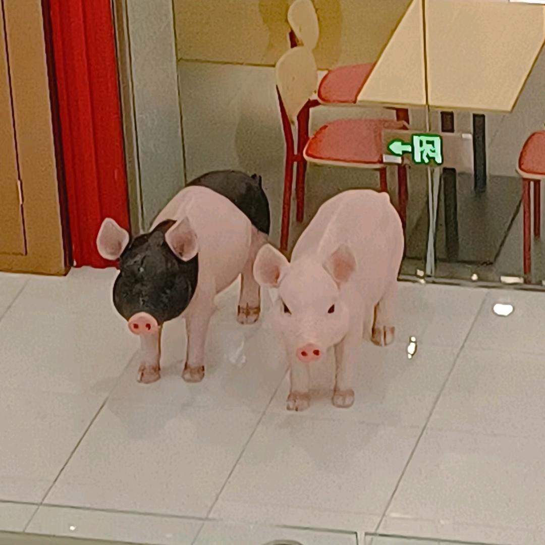 秃顶青年
