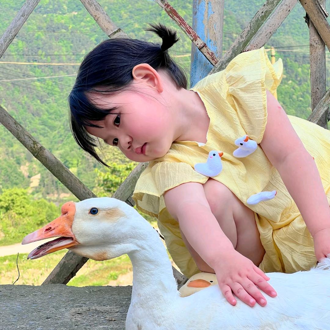 励志小企鹅