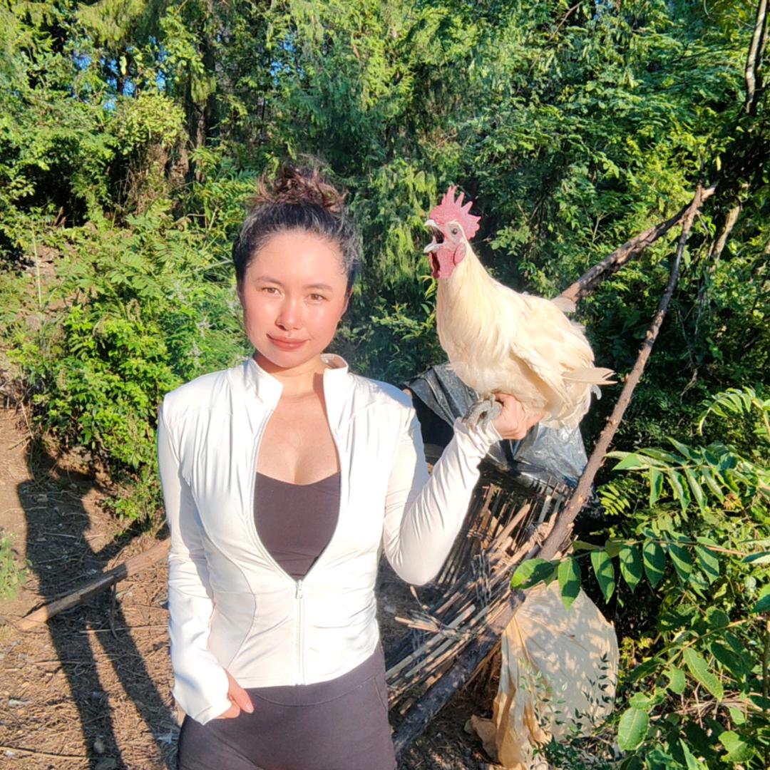 重生之在山里做🐔