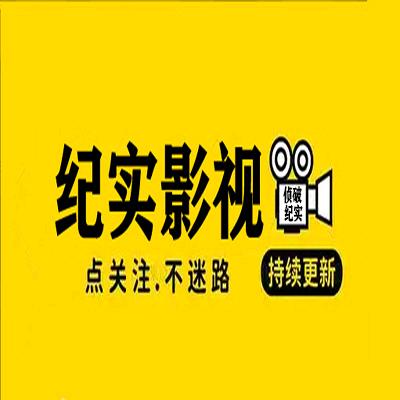 大案要案侦破纪实（再宁百货）