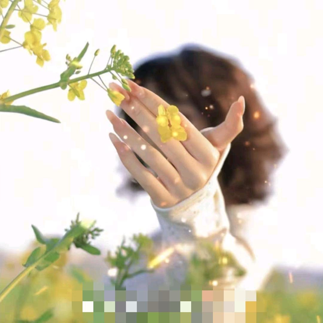 💕᭄ꦿ农汤ᮩ້宝᭄ོ࿆🕊