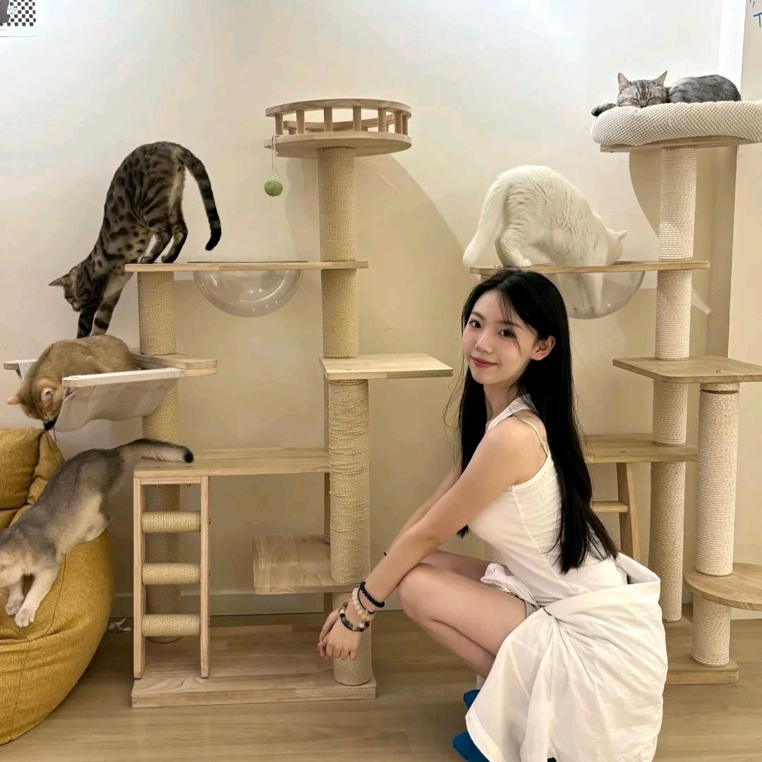 张家口单身搭子