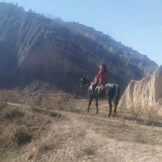 邱庄主