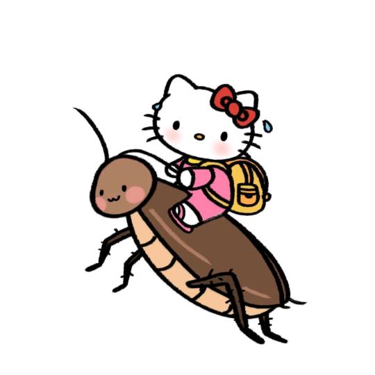 Kittey猫骑蟑螂过马路被奥特曼当怪兽