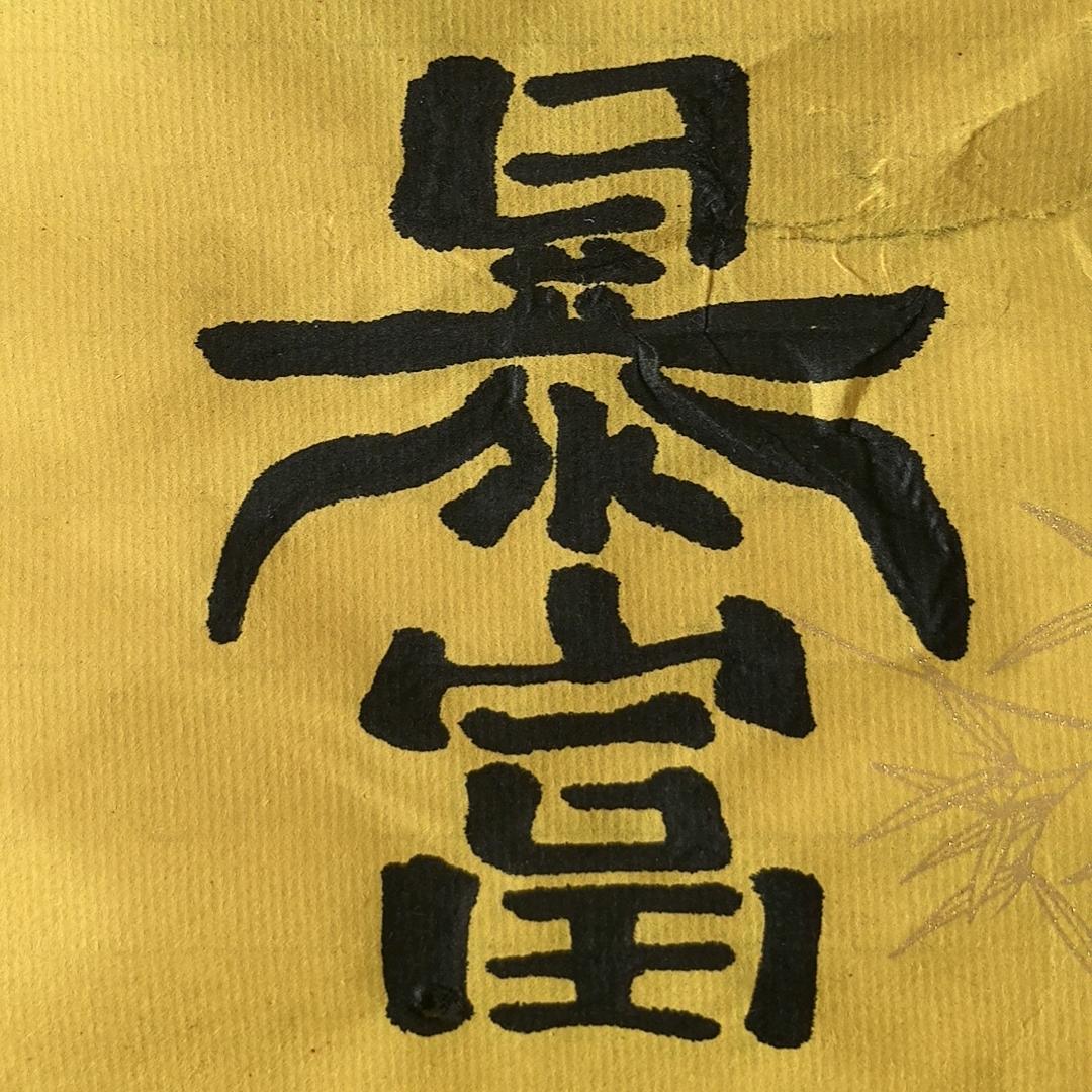 绿植四件套