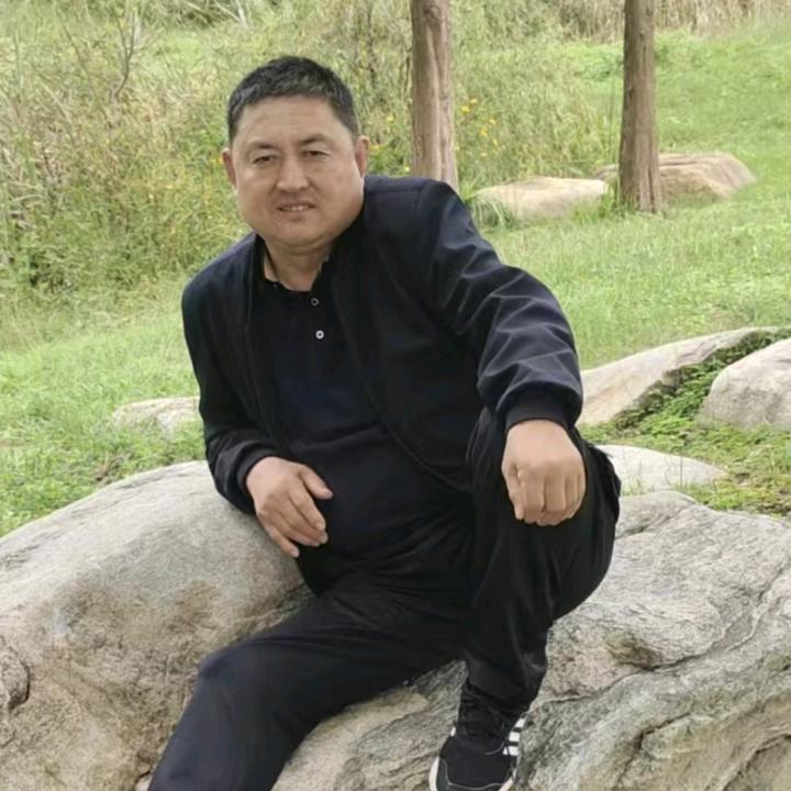 姚歌