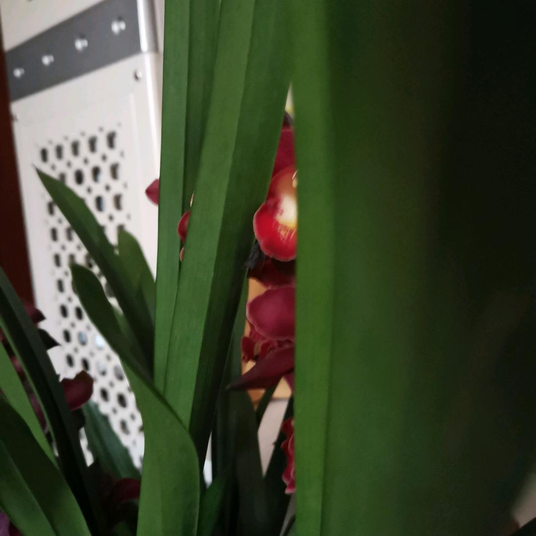 遇见你🥦