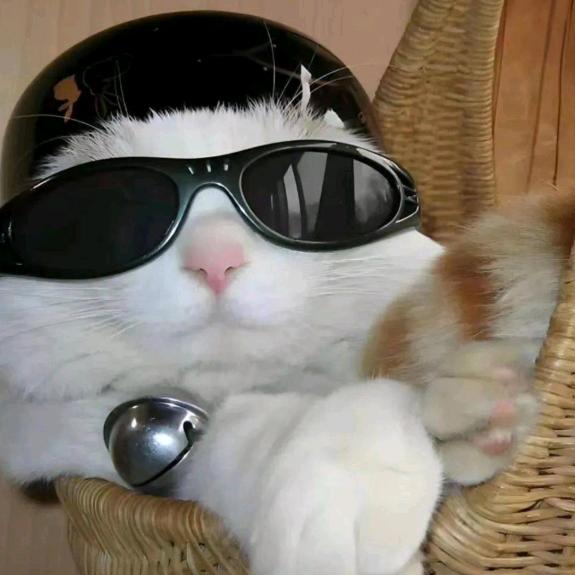 代码飞升(理想实习中，实习好累不看私信了