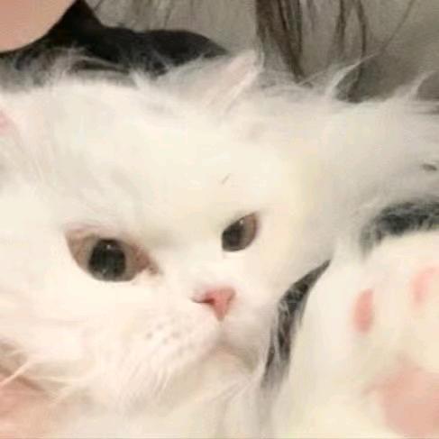 花椒烤鱼