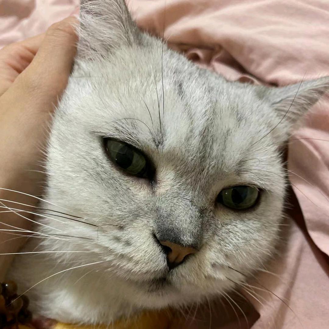 小詹O_o