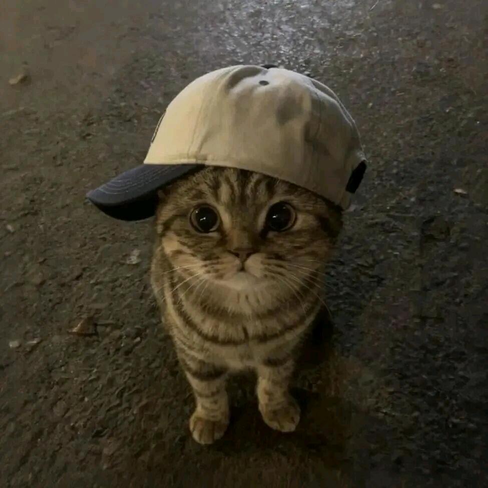 超级旋风棒棒糖