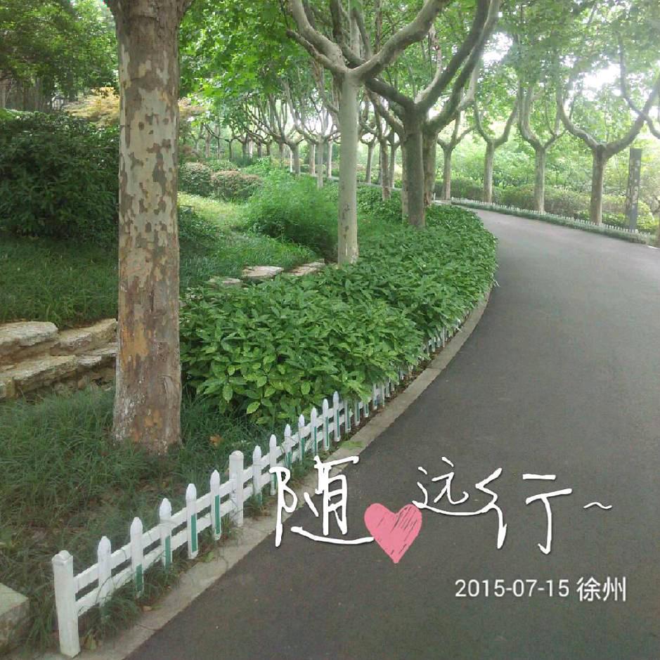 随心远行_